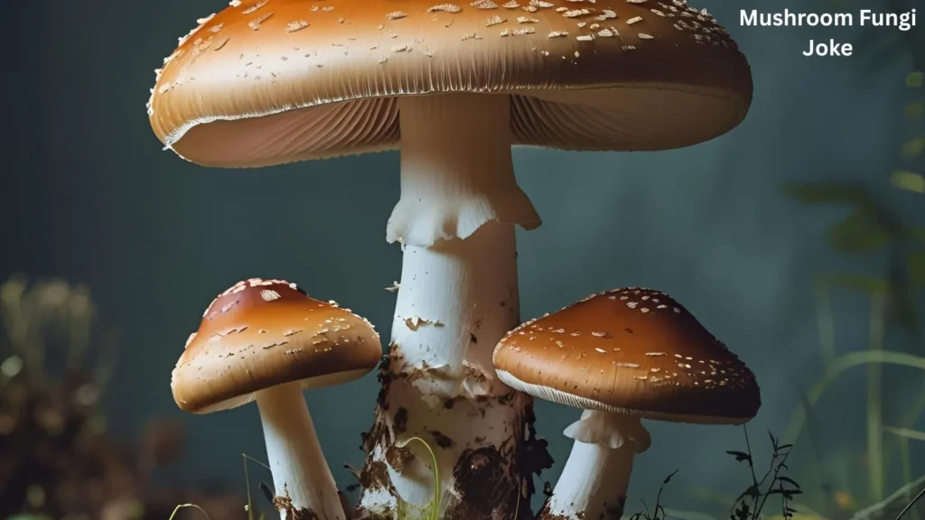 Mushroom Fungi Joke