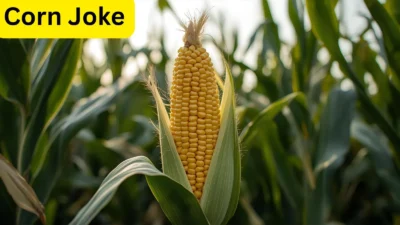 Corn Joke That’ll Make You Pop with Laughter