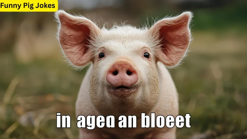 Funny Pig Jokes That’ll Make You Snort with Joy
