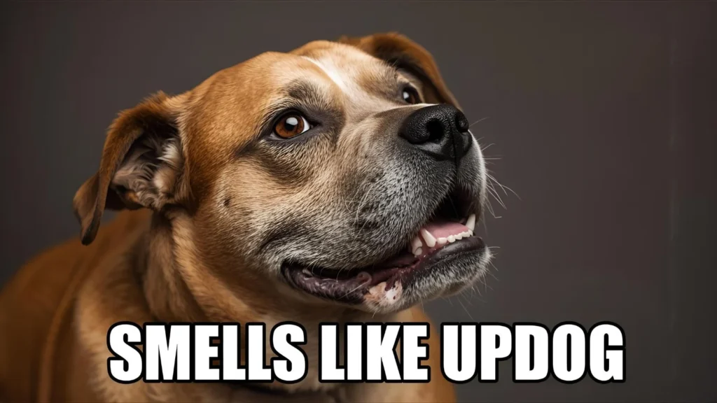 Smells Like Updog Meaning