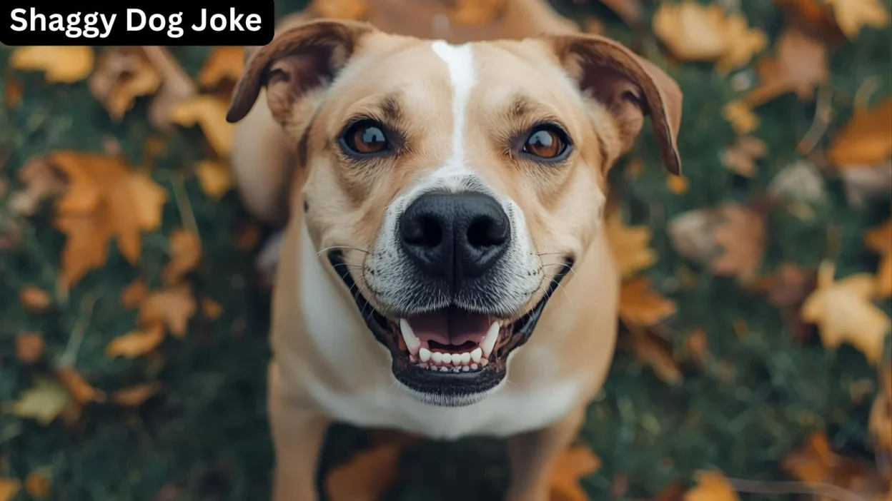 Shaggy Dog Joke — The Longest Joke You’ll Ever Hear