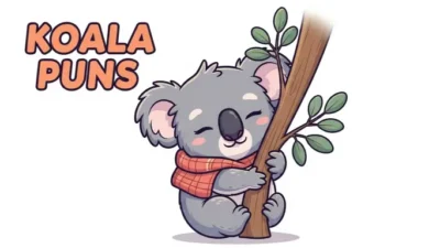 Koala Puns