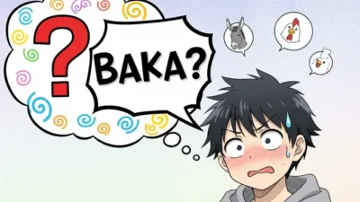 What Does Baka Mean