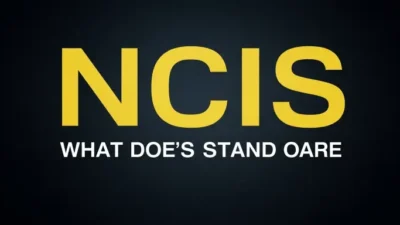 What Does NCIS Stand For