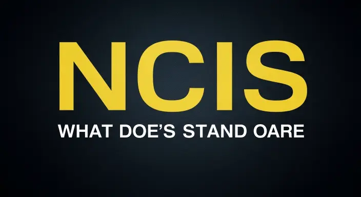 What Does NCIS Stand For